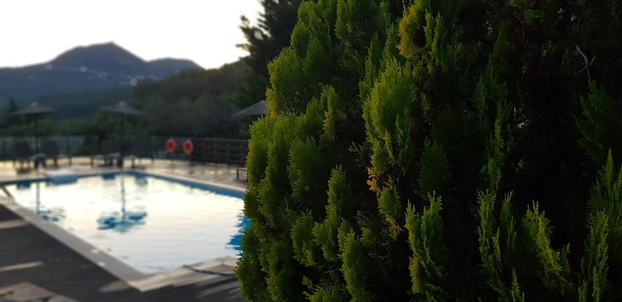 Diogenis Parga Studios Zewnętrze zdjęcie